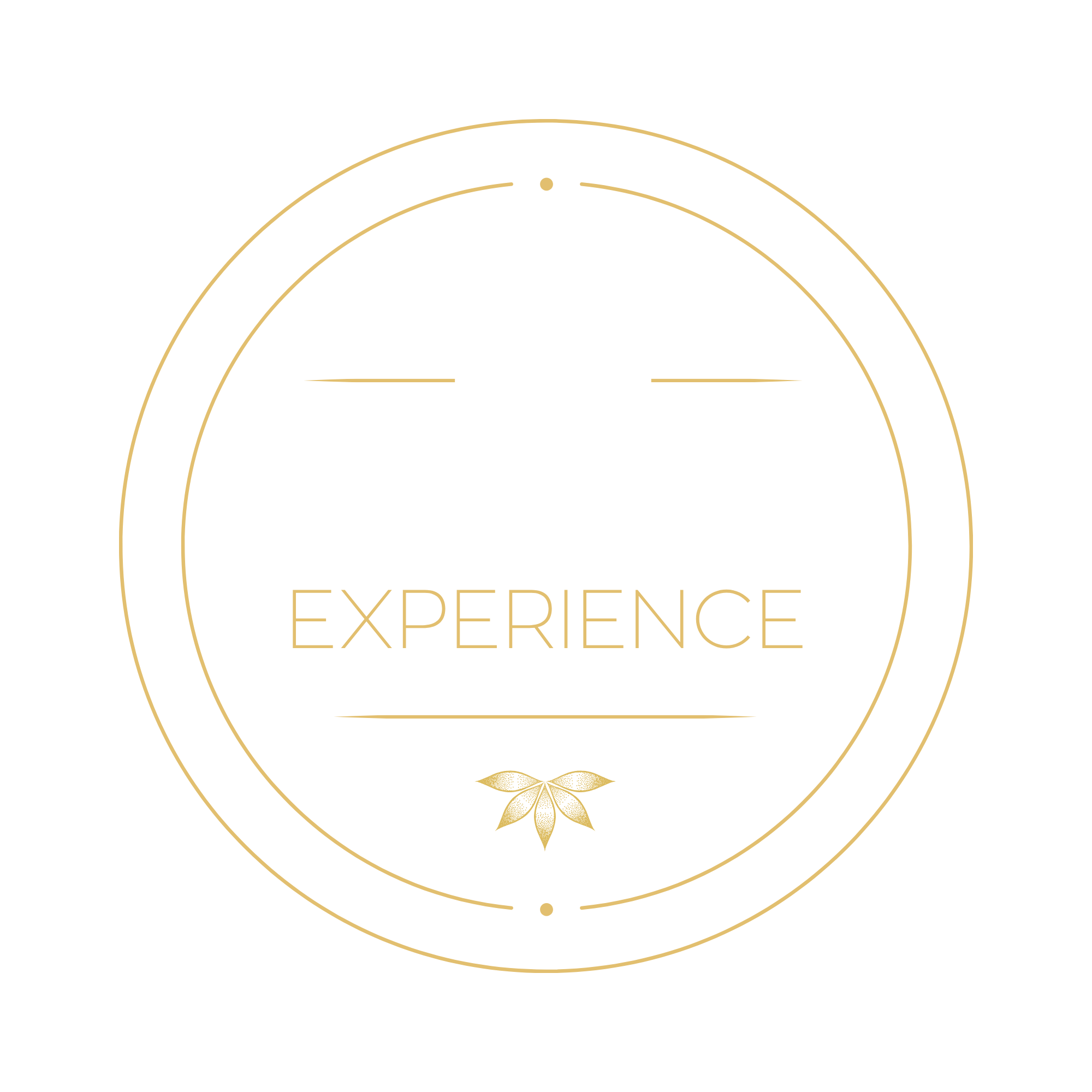 The Living Experience 's Gravenzande ThuisinBouwen en Don Hoveniers